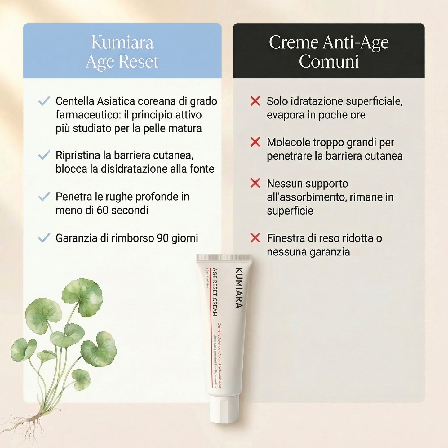 Kumiara™ Crema Age Reset