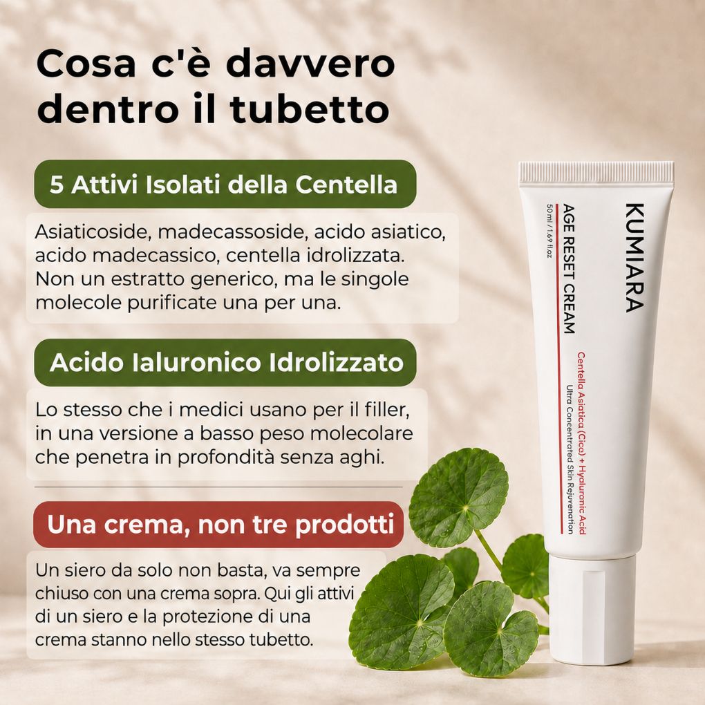 Attivi: centella asiatica, acido ialuronico, collagene