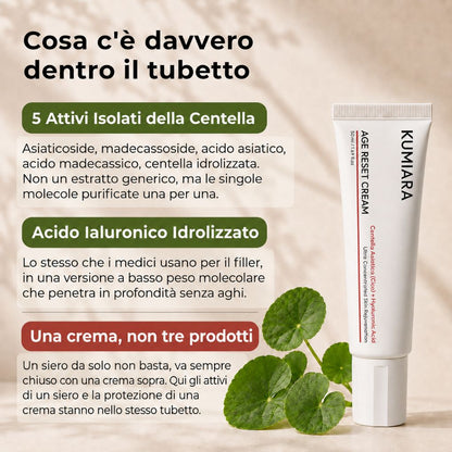 Attivi: centella asiatica, acido ialuronico, collagene